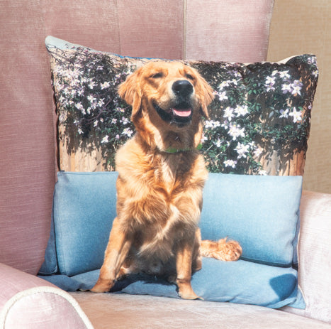 PICTURE CUSHIONS