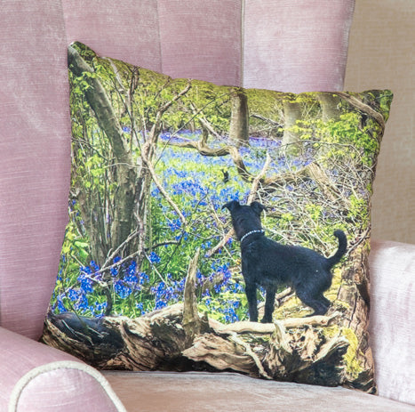 PICTURE CUSHIONS